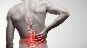 The Benefits of Seeing a Sports and Spinal Physiotherapist